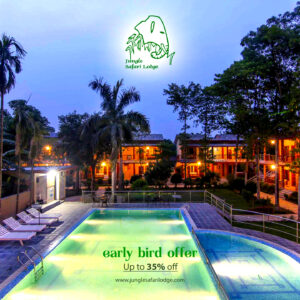 early bird offer jungle safari lodge